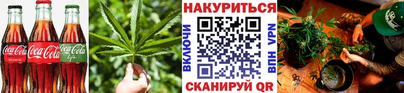 Canna-Cookies марихуана Нижнекамск