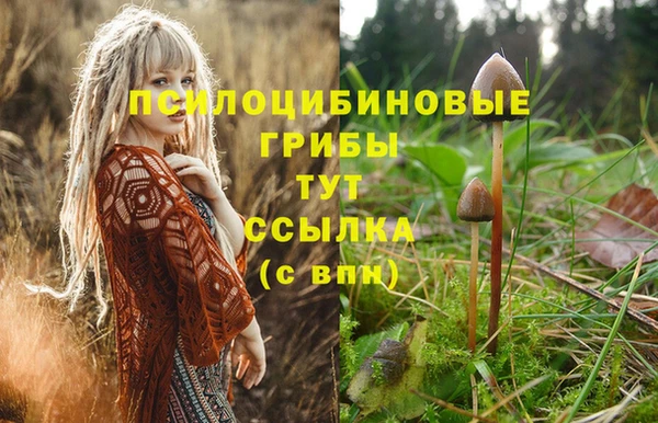 альфа пвп Бугульма