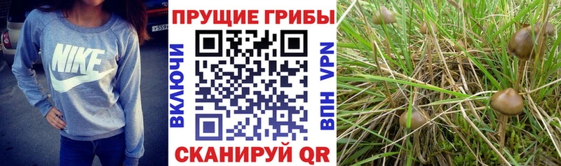 гидра tor  Нижнекамск  Галлюциногенные грибы ЛСД 